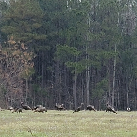 Meet your Posher, Paul - Picture 1 of 1